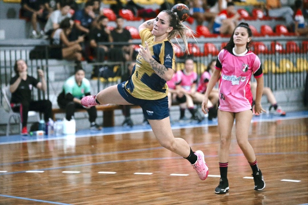 Esporte Netball E Atletas Mãos Com Jogo De Bola E Desafio Num Campo No  Parque Urbano. Esportes Femininos Foto de Stock - Imagem de azul, fêmea:  260353066