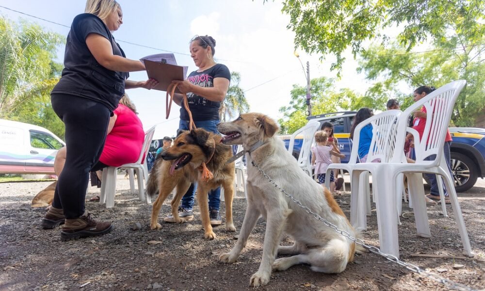 Castramóvel realiza atendimentos no bairro Niterói a partir de terça-feira, 11/Foto: Gustavo Garbino