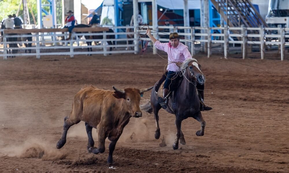Provas de Laço do 17º Rodeio Farroupilha de Canoas reúnem mais de 500 laçadores em três dias - Foto: Guilherme Pereira