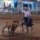 Provas de Laço do 17º Rodeio Farroupilha de Canoas reúnem mais de 500 laçadores em três dias - Foto: Guilherme Pereira