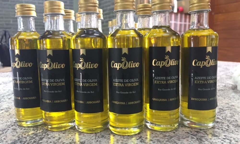Rio Grande do Sul produz dez das 12 marcas brasileiras de azeite consideradas melhores do mundo