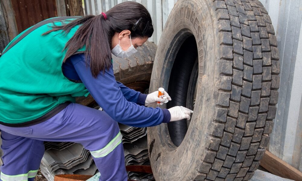 Bairro Mathias Velho tem alerta para iminente surto de Dengue - Foto: Guilherme Pereira