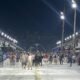 CARNAVAL 2024: Aberta temporada de ensaios técnicos no Rio; Escolas começam a treinar neste final de semana; veja o calendário - Foto: Daniela Uequed/OT