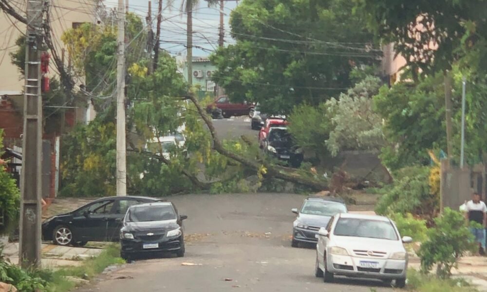 TEMPORAL: Ventos de 107 km/h, alagamentos, vias bloqueadas e uma morte no Estado - Foto: Vanderlei Dutra/OT