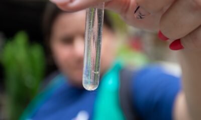 Passam de 900 notificações de casos de suspeita de dengue em Canoas