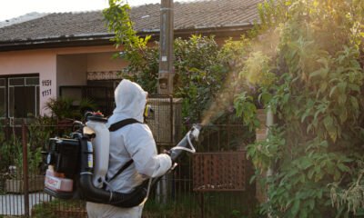 Canoas registra primeira morte por dengue; notificações de casos se aproximam de 1.500