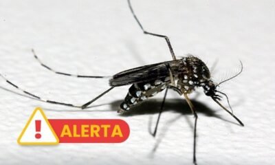 Centro Estadual de Vigilância em Saúde emite alerta epidemiológico para dengue e chikungunya