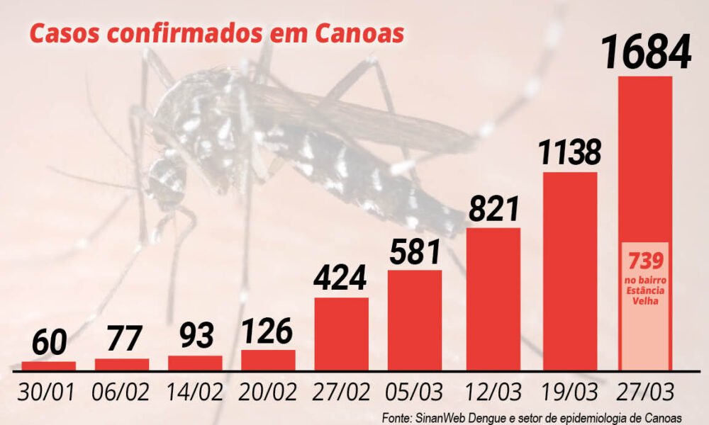 Casos de dengue aumentam 48% em oito dias em Canoas - O Timoneiro