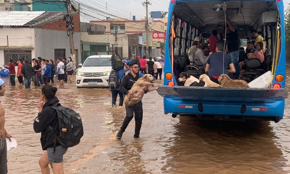 DESASTRE NO RS: Número de mortes chega a 66; Jairo Jorge afirma que dois óbitos ocorreram em Canoas