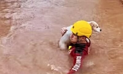 DESASTRE NO RS: Defesa Civil confirma 78 mortes e investiga outros 4 óbitos