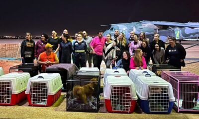 Governo do RS e Força Aérea Brasileira oferecem transporte gratuito para estimular adoção de animais resgatados -Foto: Divulgação Grupo de Resposta a Animais em Desastres