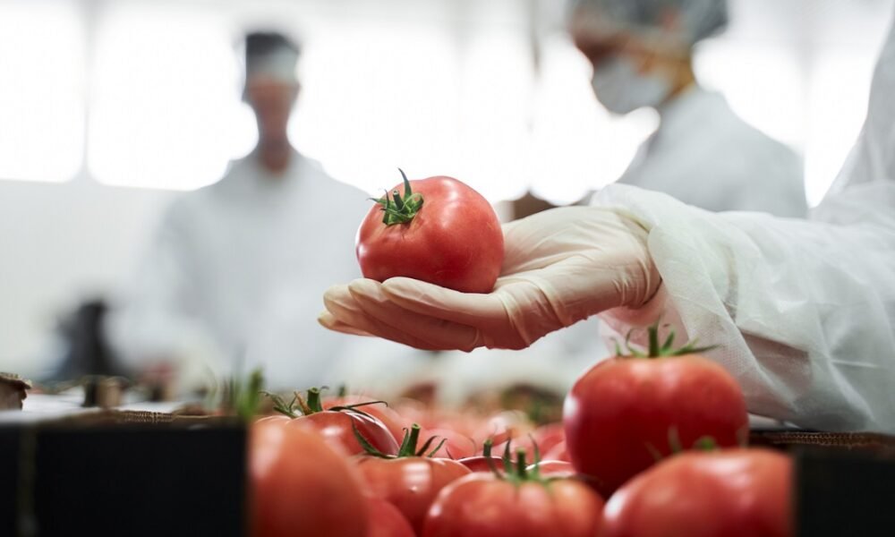 Sesc Comunidade promove atividades durante Semana Mundial da Alimentação