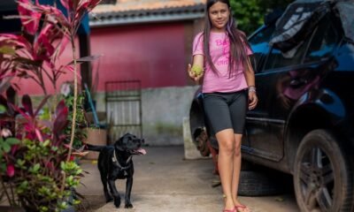 Cachorro que ficou 20 dias em cima de telhado na enchente ganha lar em Canoas