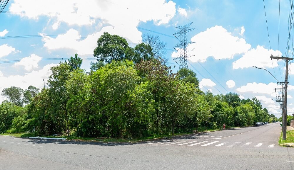 Prefeitura de Canoas prepara terrenos para 51 moradias para vítimas das enchentes