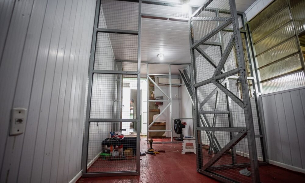 Secretaria de Bem-Estar Animal de Canoas finaliza ampliação de espaço para gatos