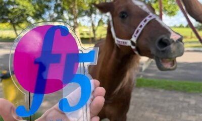 Símbolo de resistência da enchente em Canoas, Cavalo Caramelo recebe troféu Bicho do Ano 