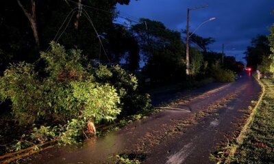 Após temporal, equipes da RGE trabalham para regularização do serviço em Nova Santa Rita
