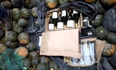 Carga de vinhos irregular avaliada em R$ 400 mil é interceptada na BR-116