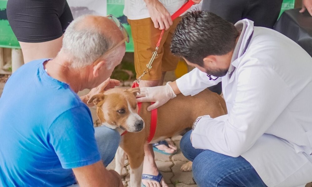 Nova Santa Rita leva atendimento veterinário gratuito ao Loteamento Popular no sábado, 14