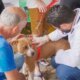 Nova Santa Rita leva atendimento veterinário gratuito ao Loteamento Popular no sábado, 14