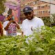 Feira Agroecológica do Museu do Hip Hop será gratuita na próxima sexta-feira, 18