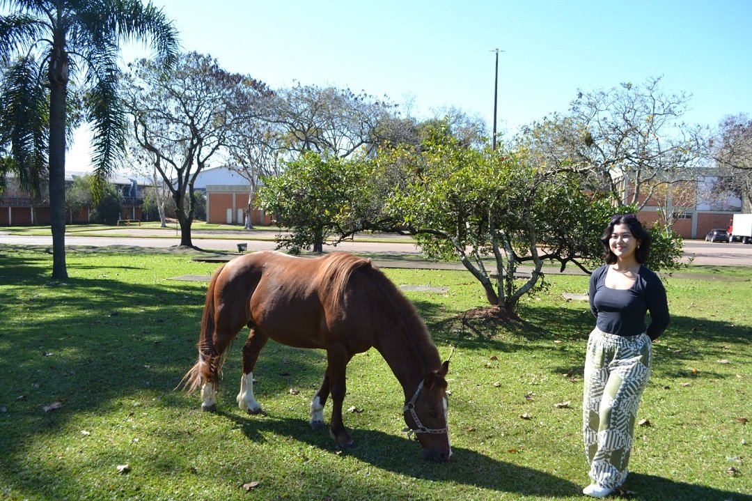 Cavalo Caramelo vira símbolo em estudo internacional sobre catástrofe no RS