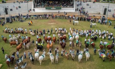 Expointer 2025 terá participação de 6.696 animais