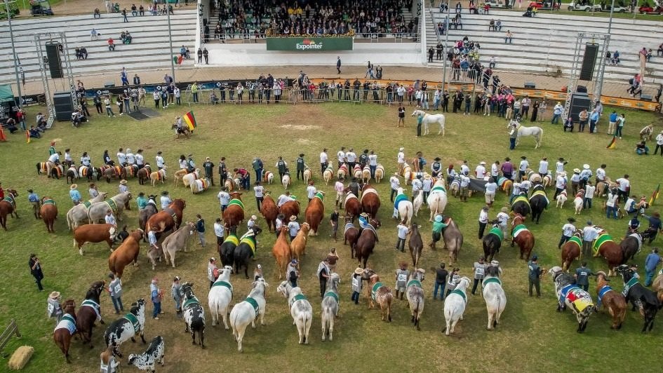 Expointer 2025 tem aumento de 47,69% na inscrição de animais de argola