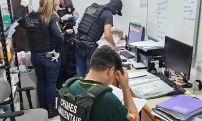 Ex-secretária da causa animal de Canoas é investigada por mortes e maus-tratos de animais