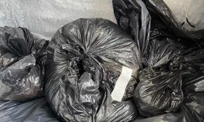 Polícia aponta que ex-secretária de Canoas autorizou o dobro de eutanásias em cães e gatos do que foi registrado oficialmente