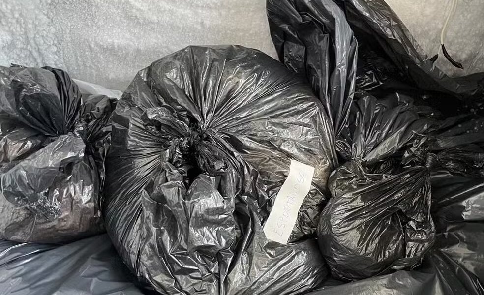 Polícia aponta que ex-secretária de Canoas autorizou o dobro de eutanásias em cães e gatos do que foi registrado oficialmente