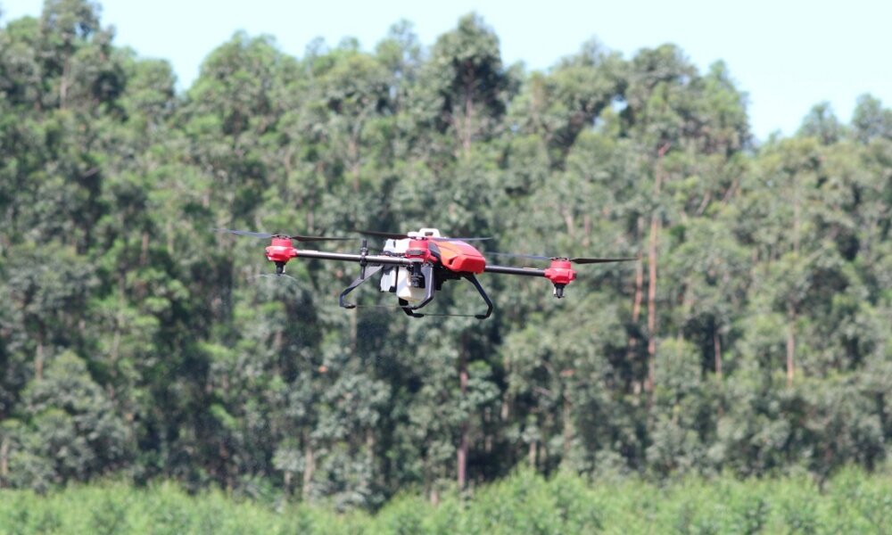CMPC amplia manejo integrado de pragas com uso de controle biológico