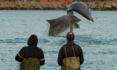 Foto: dossiê do registro/Iphan.