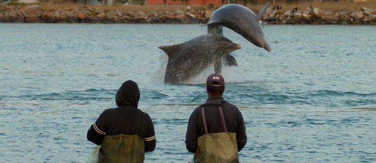 Foto: dossiê do registro/Iphan.