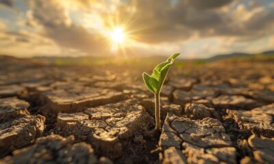 Clima na Economia edital destina R$ 2,5 milhões a projetos que conectem clima e decisões econômicas no Brasil