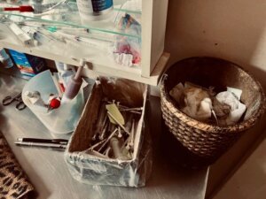 Foram constatadas irregularidades sanitárias, além de evidentes sinais de maus-tratos.