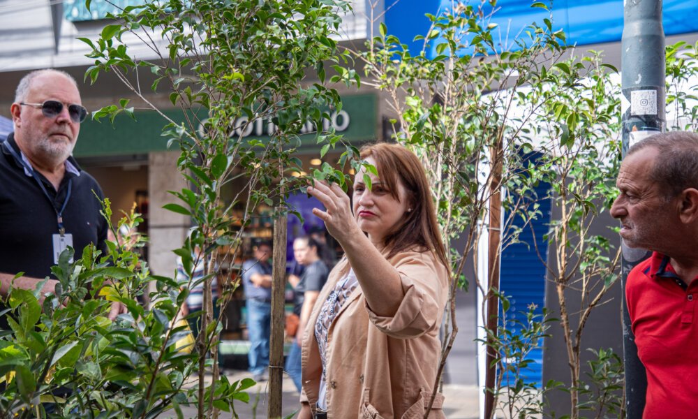 Foto: Julia Krauspenhar