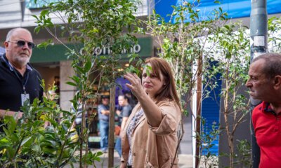 Foto: Julia Krauspenhar