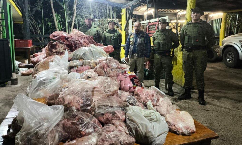 Ministério Público do Rio Grande Sul / Divulgação