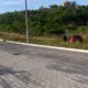Foto: Brigada Militar/Divulgação