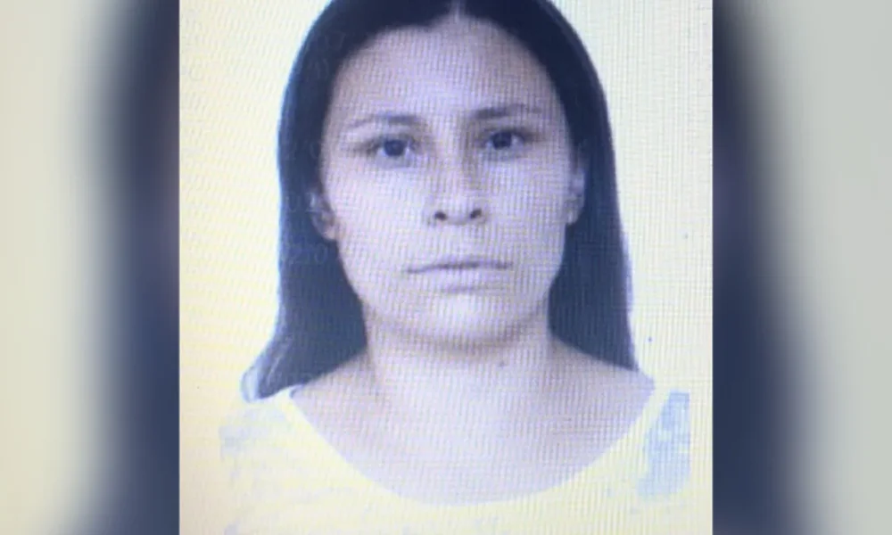 Polícia Civil / Divulgação