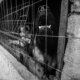 Foto: Bruno Ouriques