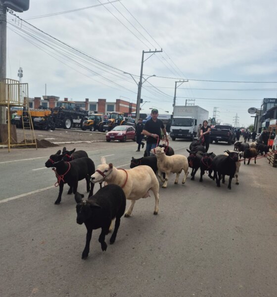 Foto: Divulgação/OT