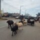 Foto: Divulgação/OT