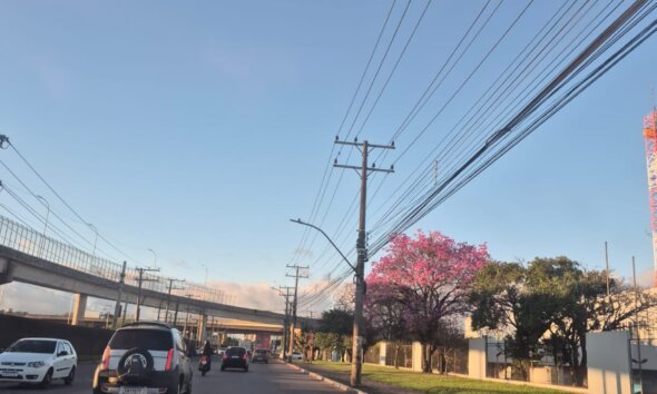Foto: Lizele Garcia