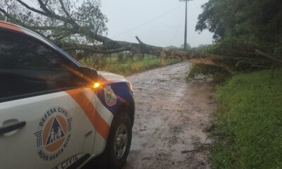 Temporal com ventos de quase 100 kmh causa estragos e deixa 400 casas destelhadas em Nova Santa Rita