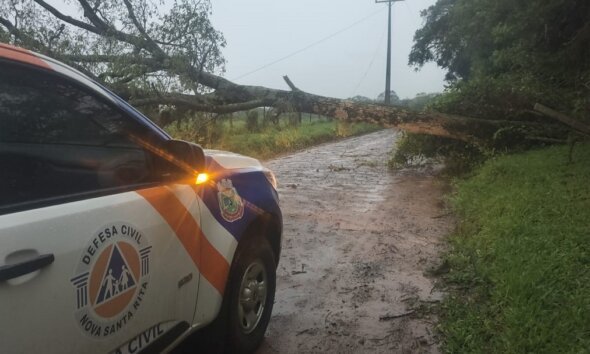 Temporal com ventos de quase 100 kmh causa estragos e deixa 400 casas destelhadas em Nova Santa Rita