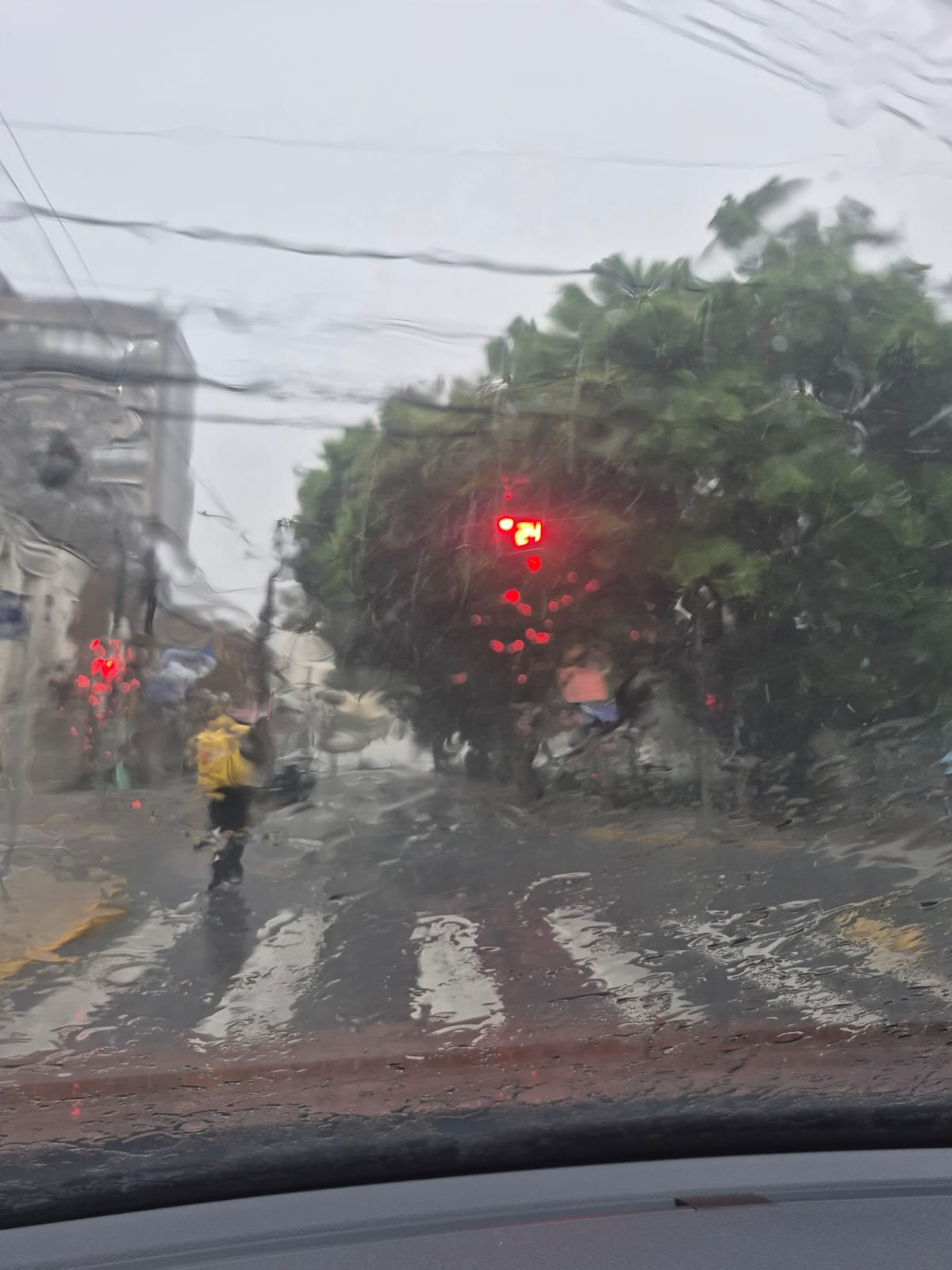 Foto: Lizele Garcia/OT